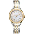 DKNY Brooklyn DK1L013M0085